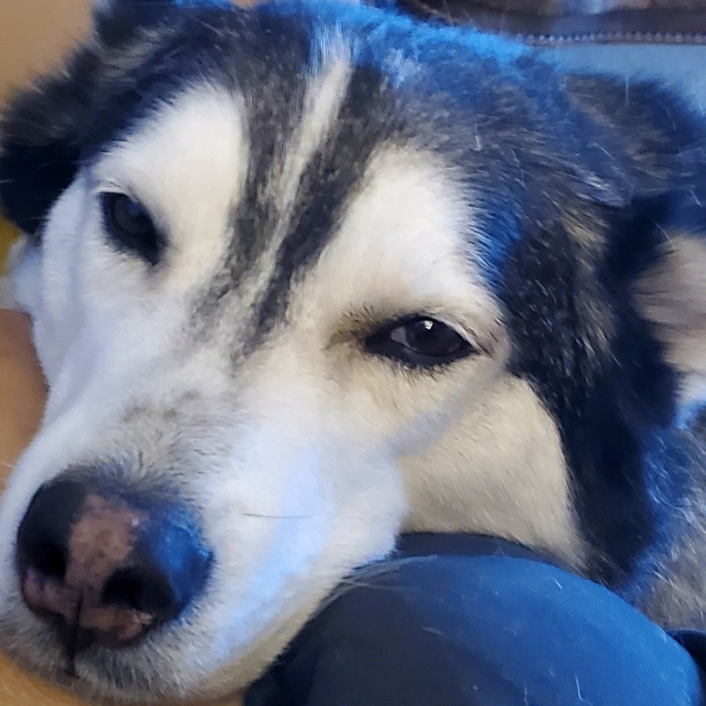 Meet your Posher, Joseph